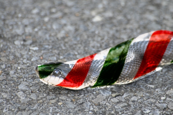 Creation of Candy snake: Step 1